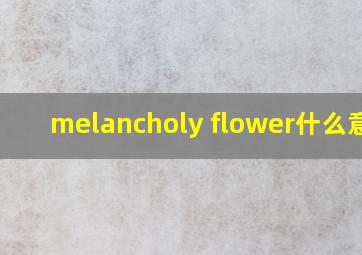 melancholy flower什么意思